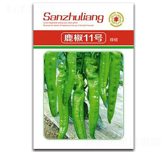 ¹��11̖����-�����N��-�����Z