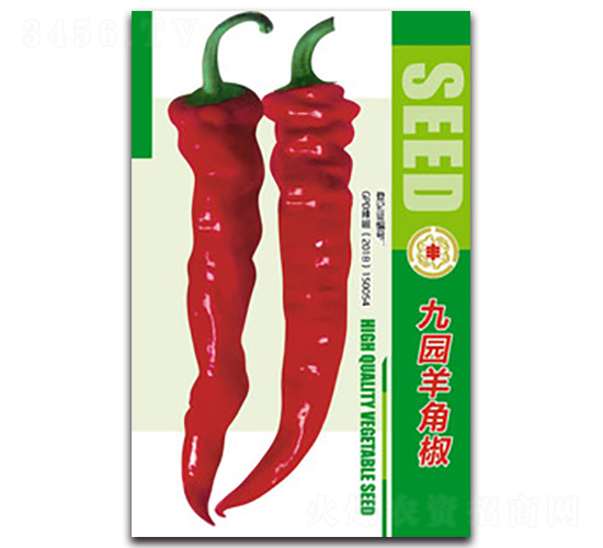 �ň@��ǽ�-�����N��-�����Z