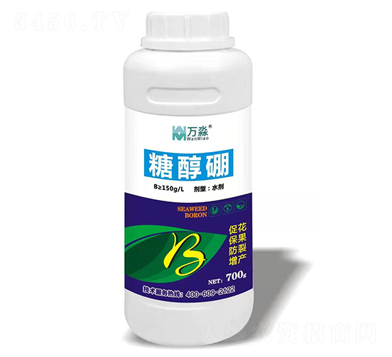 �Ǵ���-�f��-���S����