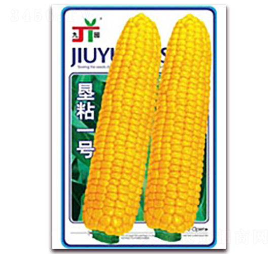 墾粘一號-糯玉米種子-三主糧