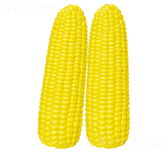 �SŴ��̖-Ŵ���׷N��-�����Z