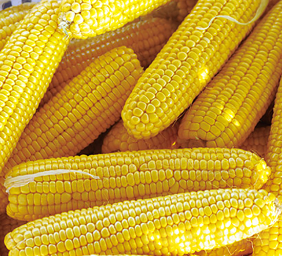 ����878-�����׷N��-���r(n��ng)��