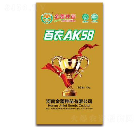 金蕾矮抗58-小麥種子-金蕾種苗