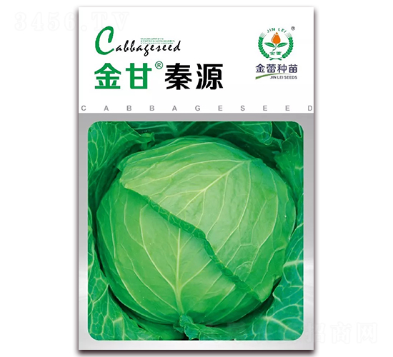 金甘秦源-甘藍種子-金蕾種苗