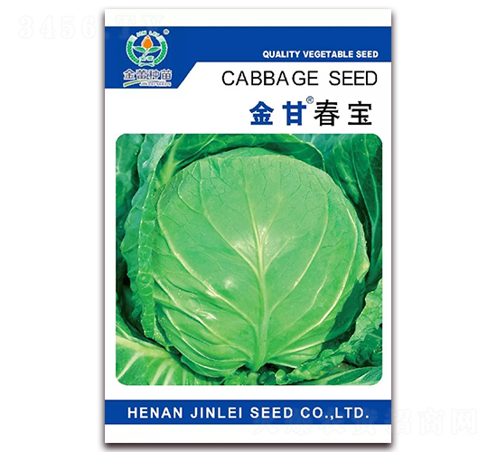 ��ʴ���-���{(l��n)�N��-���ٷN��