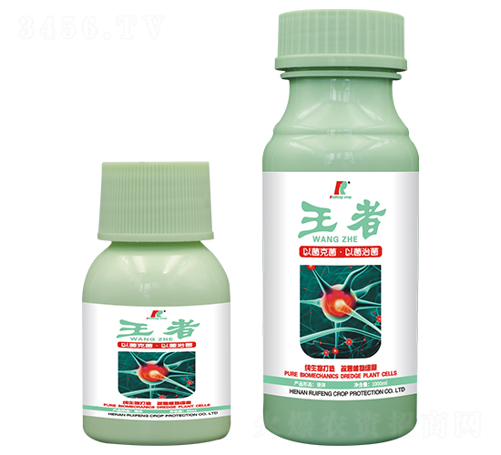 �������Ƅ�-����-�J�S����