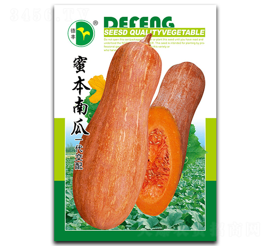 �۱��Ϲ�-�ϹϷN��-���S�N�I(y��)