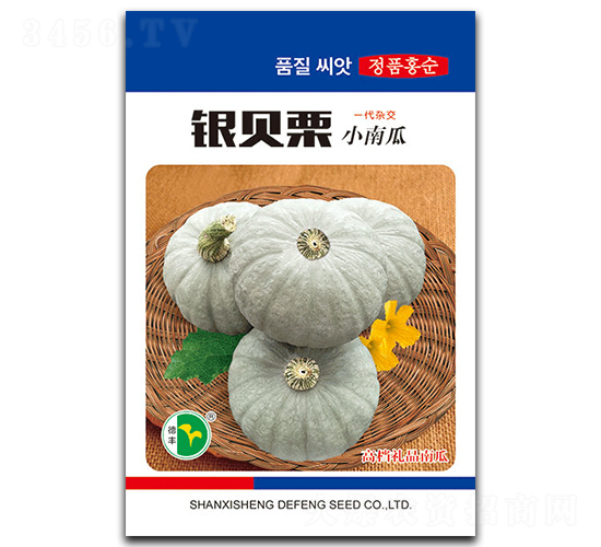 �yؐ��-�ϹϷN��-���S�N�I(y��)