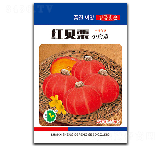 �tؐ��-�ϹϷN��-���S�N�I(y��)