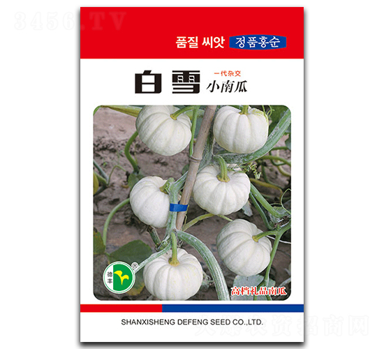 ��ѩ-�ϹϷN��-���S�N�I(y��)