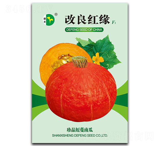 �����t��-�ϹϷN��-���S�N�I(y��)