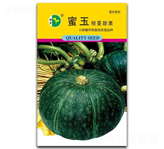 ��������-�ϹϷN��-���S�N�I(y��)