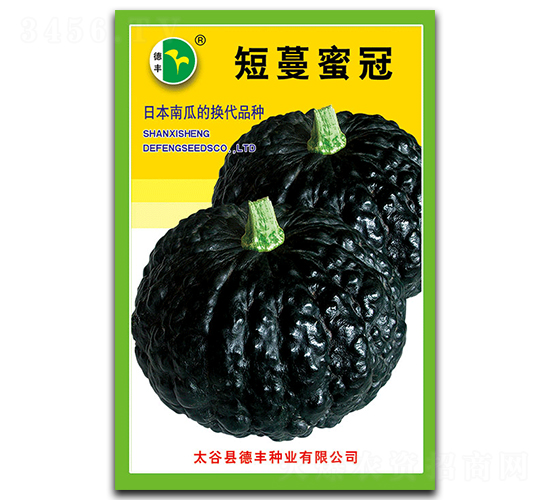 �����۹�-�ϹϷN��-���S�N�I(y��)