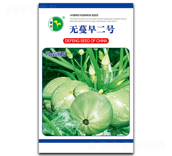 無(wú)蔓早二號(hào)-南瓜種子-德豐種業(yè)