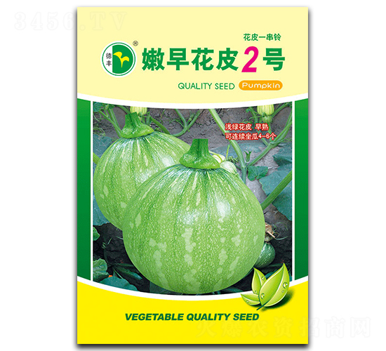 嫩早花皮2號-南瓜種子-德豐種業(yè)