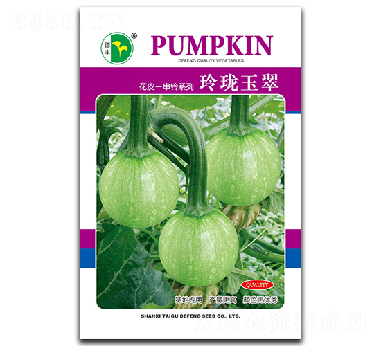 玲瓏玉翠-南瓜種子-德豐種業(yè)