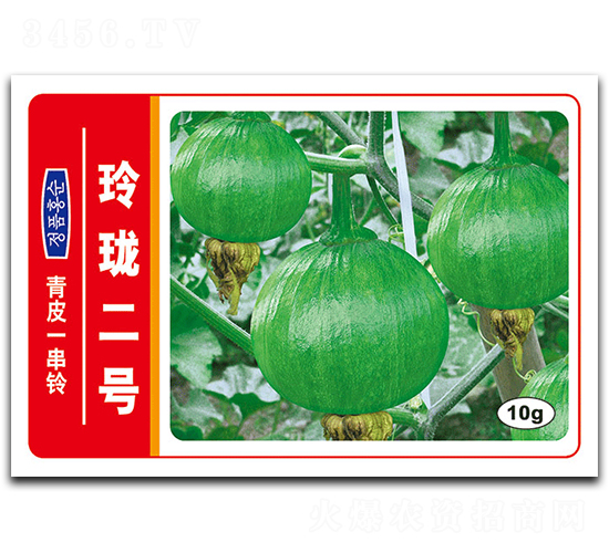 玲瓏二號-南瓜種子-德豐種業(yè)