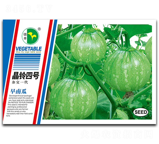 晶鈴四號-南瓜種子-德豐種業(yè)