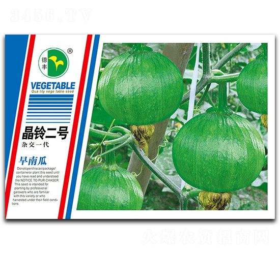 晶鈴二號-南瓜種子-德豐種業(yè)