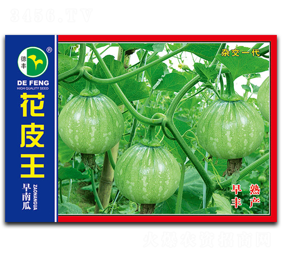 ��Ƥ��-�ϹϷN��-���S�N�I(y��)