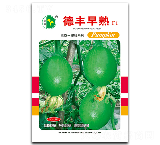 德豐早熟-南瓜種子-德豐種業(yè)
