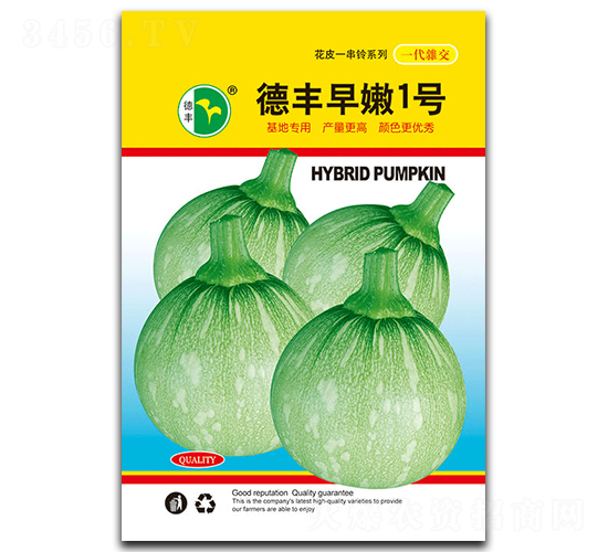 德豐早嫩1號-南瓜種子-德豐種業(yè)