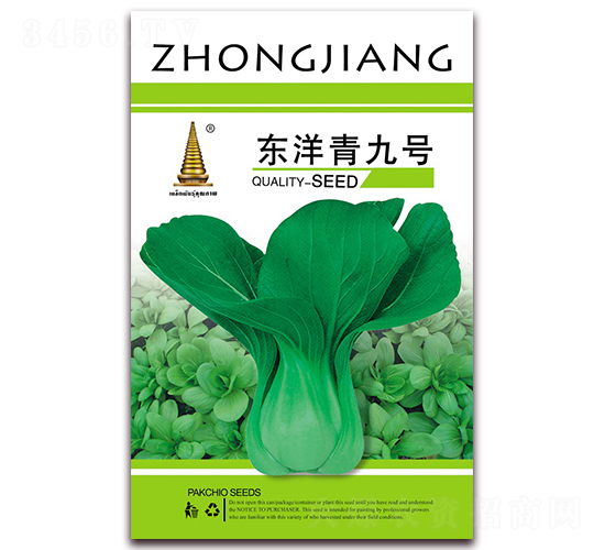 東洋青九號-青菜種子-中江農(nóng)業(yè)