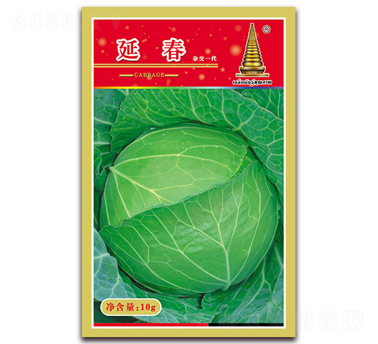 �Ӵ�-���{�N��-�н��r(n��ng)�I(y��)