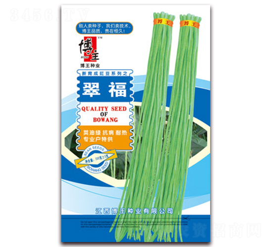 �丣-�����N��-����