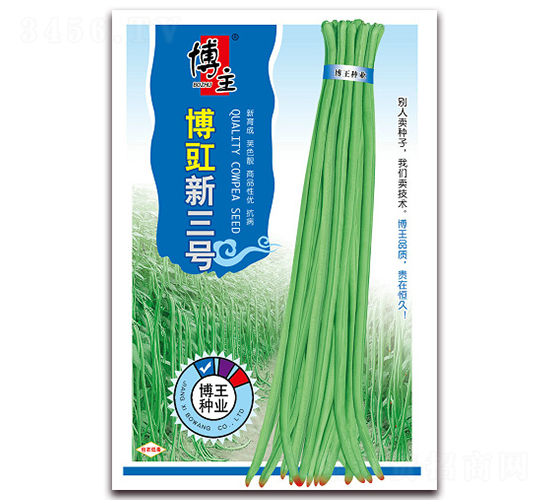 ��������̖-�����N��-����