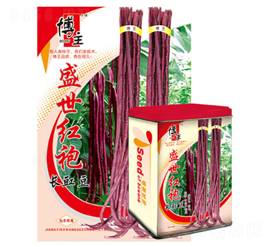 ʢ���t��-�����N��-����