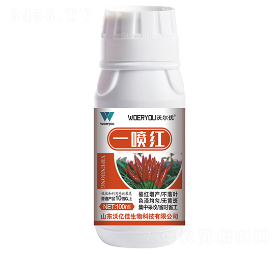 ����һ���t-�֠���(y��u)