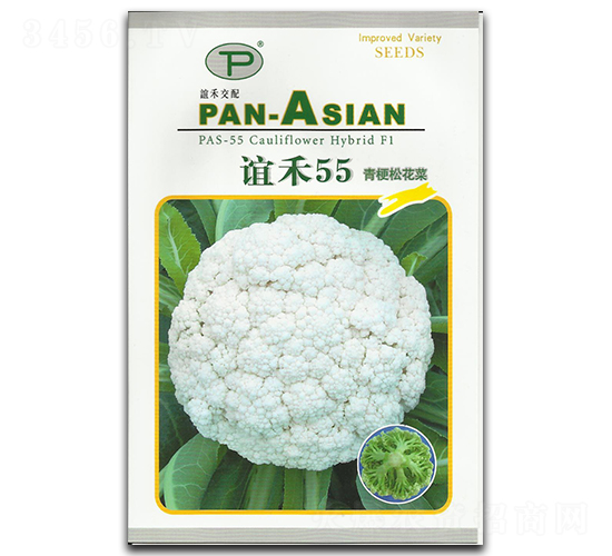 �x��55-�ɻ��˷N��-�x��