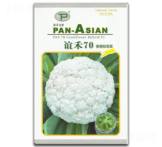 �x��70-�ɻ��˷N��-�x��