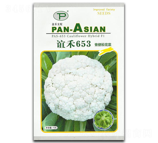 �x��653-�ɻ��˷N��-�x��