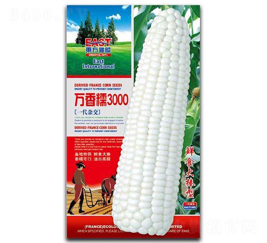 �f(w��n)��Ŵ3000-Ŵ���׷N��-�����_(d��)