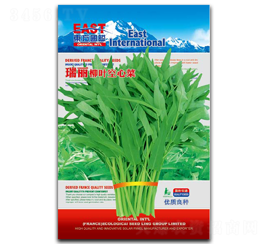 瑞麗柳葉空心菜-空心菜種子-祥瑞達(dá)