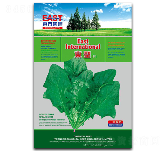 東圣F1-菠菜種子-祥瑞達