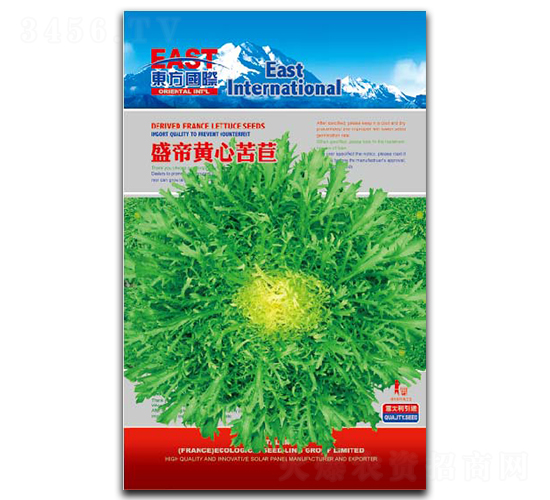 盛帝黃心苦苣-苦苣種子-祥瑞達(dá)