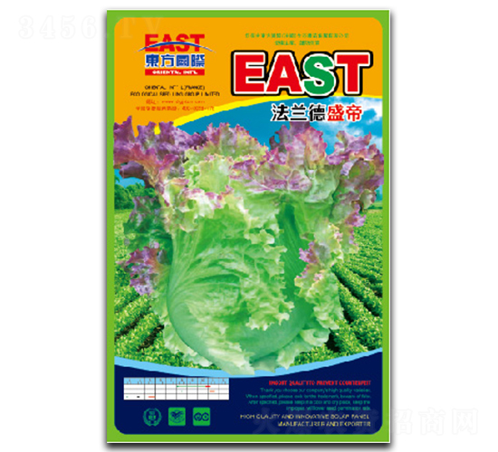 法蘭德盛帝-生菜種子-祥瑞達(dá)