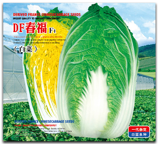 DF����-�ײ˷N��-�����_