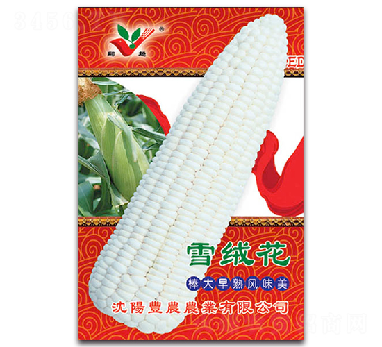 ѩ�q��-Ŵ���׷N��-�S�r(n��ng)�r(n��ng)�I(y��)