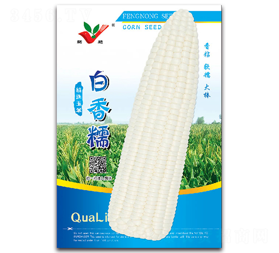 白香糯-糯玉米種子-豐農(nóng)農(nóng)業(yè)