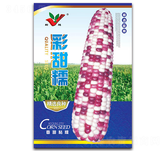 彩甜糯-糯玉米種子-豐農(nóng)農(nóng)業(yè)