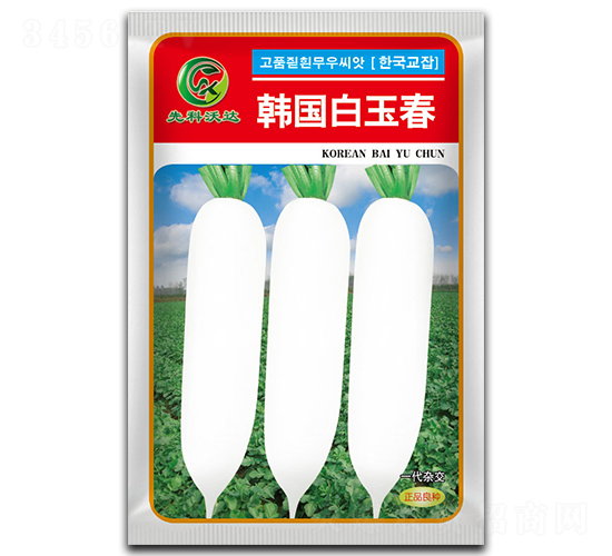 韓國白玉春-白蘿卜種子-祥瑞達