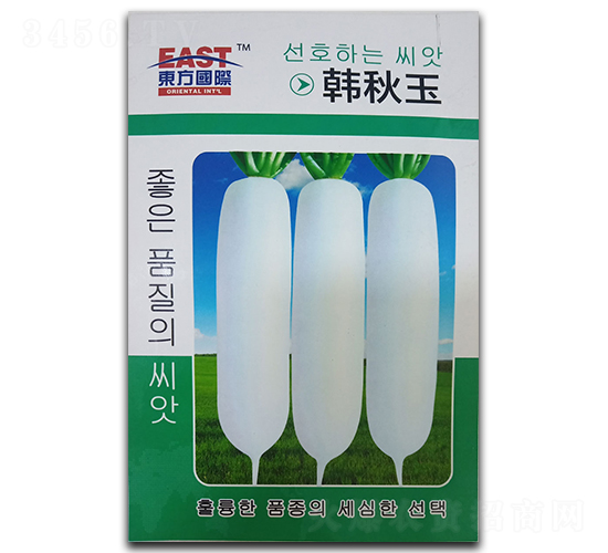韓秋玉-白蘿卜種子-祥瑞達(dá)