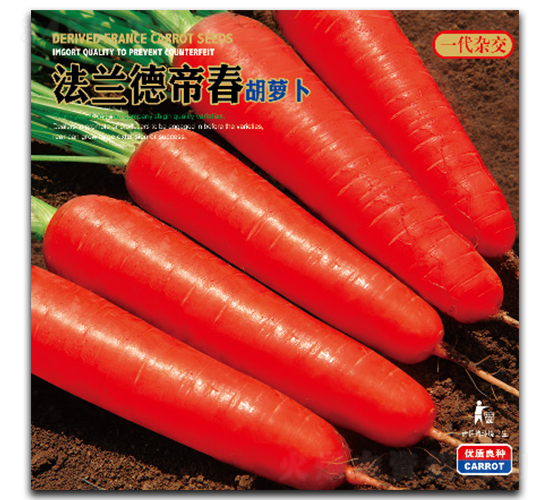 ���m�µ۴�-���}���N��-�����_(d��)