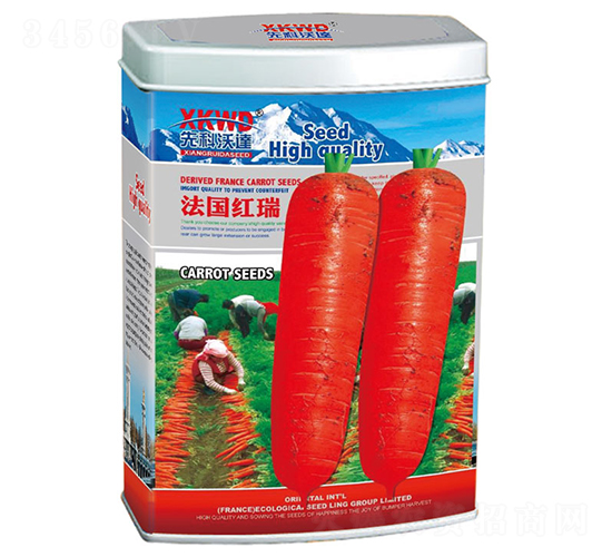 �����t�𣨹ޣ�-���}���N��-�����_(d��)