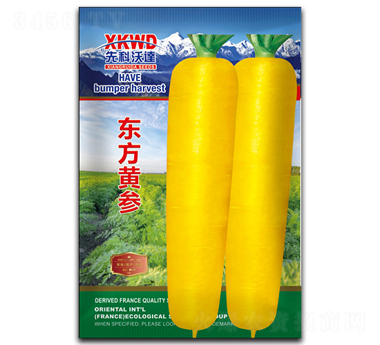 �|���S��-���}���N��-�����_