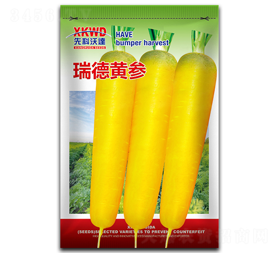 ����S��-���}���N��-�����_